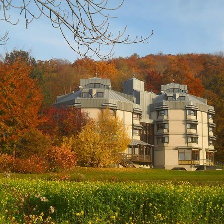 Hellmut-Waßmer-Jugendherberge Lörrach Eksteriør billede